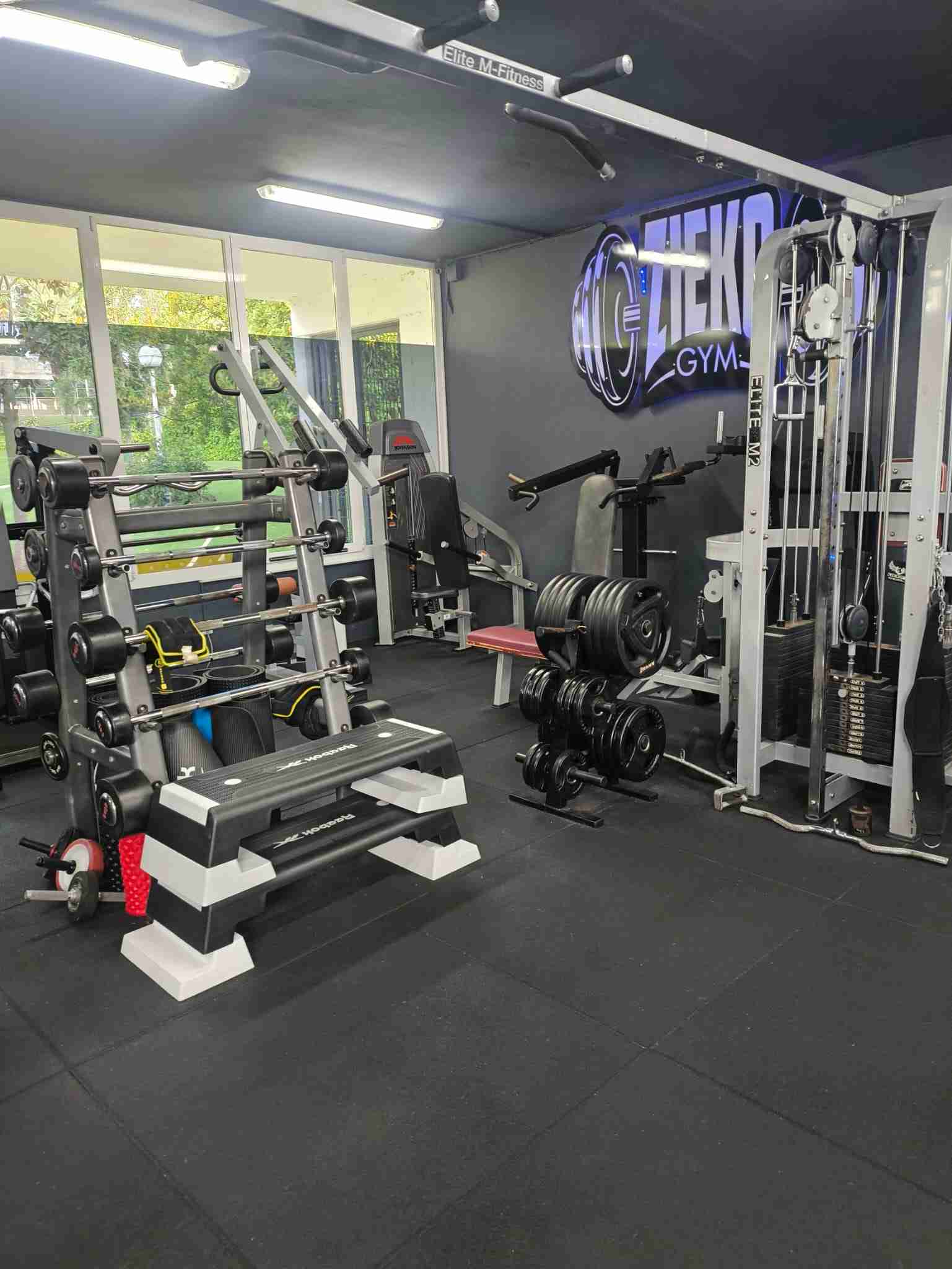 Sala de pesas centro